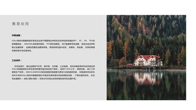 Villon 维乐热塑性饱和共聚酯